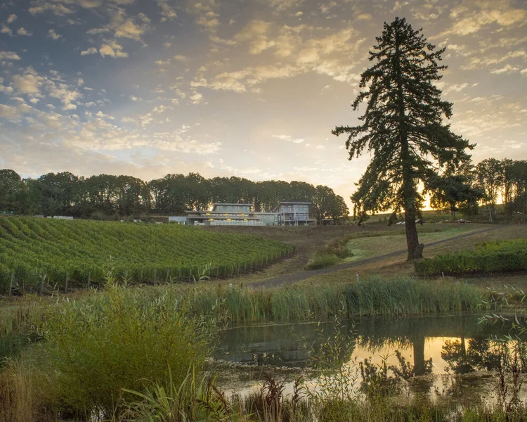 Alexana Winery - Le Sommelier Wine Agency